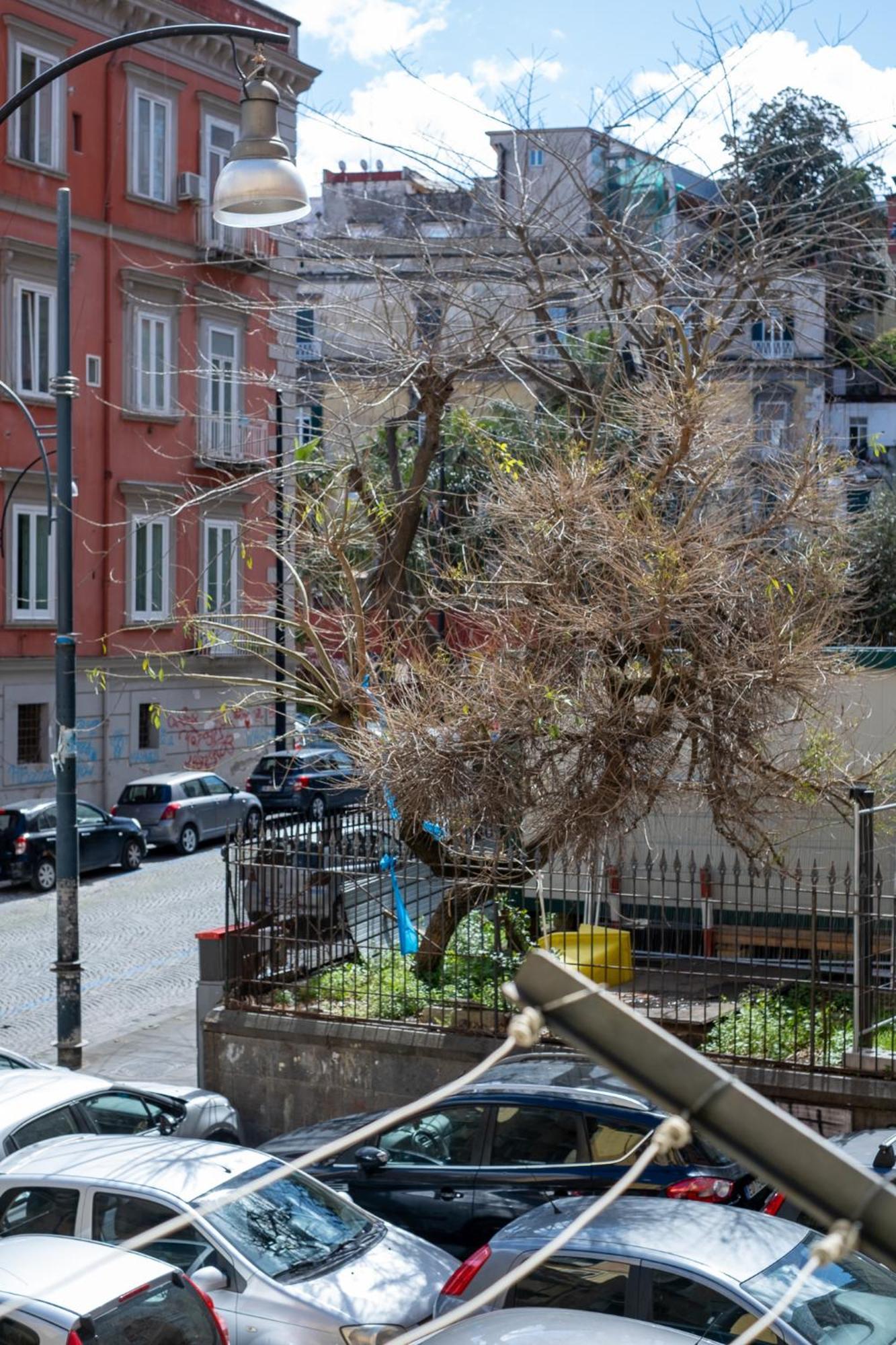 La Casa Di Nanninella Casa vacanze